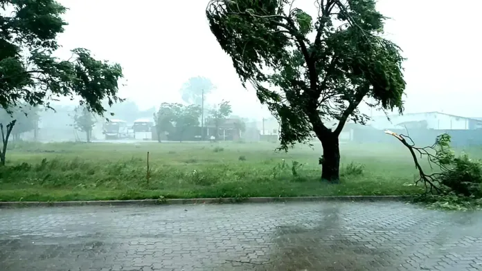 A imagem mostra chuva com vento forte derrubando o galho de uma árvore. O cenário tem uma rua calçada, uma campo e duas árvores.